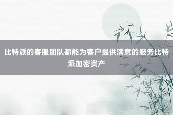 比特派的客服团队都能为客户提供满意的服务比特派加密资产