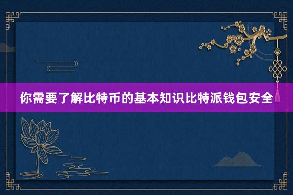 你需要了解比特币的基本知识比特派钱包安全