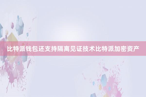 比特派钱包还支持隔离见证技术比特派加密资产