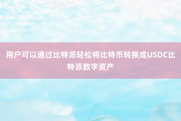 用户可以通过比特派轻松将比特币转换成USDC比特派数字资产