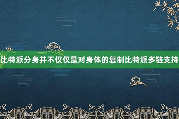 比特派分身并不仅仅是对身体的复制比特派多链支持