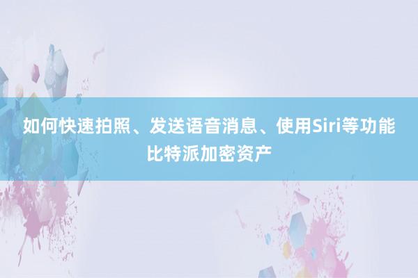 如何快速拍照、发送语音消息、使用Siri等功能比特派加密资产