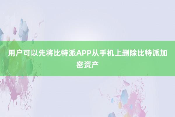 用户可以先将比特派APP从手机上删除比特派加密资产