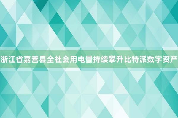 浙江省嘉善县全社会用电量持续攀升比特派数字资产