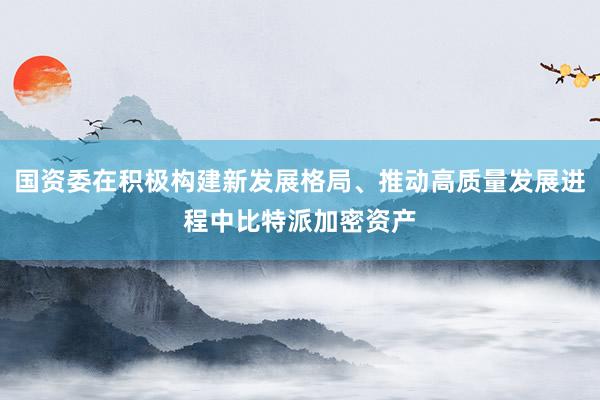 国资委在积极构建新发展格局、推动高质量发展进程中比特派加密资产