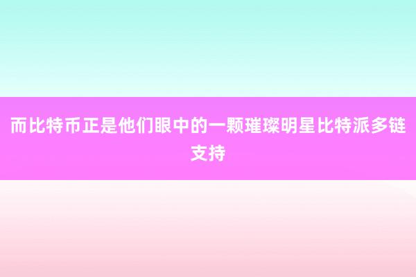 而比特币正是他们眼中的一颗璀璨明星比特派多链支持