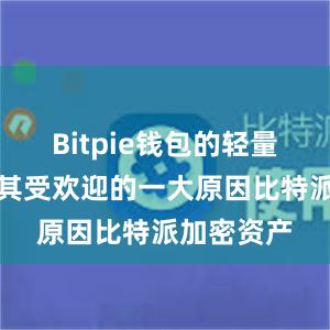 Bitpie钱包的轻量级下载是其受欢迎的一大原因比特派加密资产