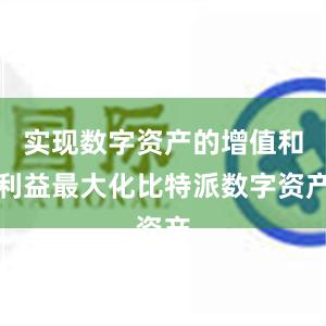 实现数字资产的增值和利益最大化比特派数字资产