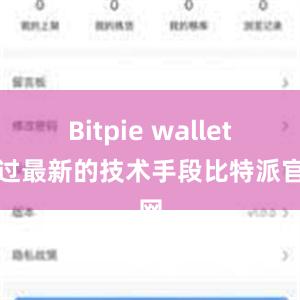 Bitpie wallet通过最新的技术手段比特派官网